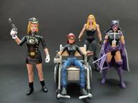Lady Blackhawk (DC Universe) Custom Action Figure