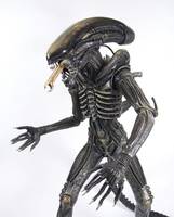 Alien 1/4 Neca (Aliens) Custom Action Figure