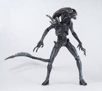 Avpr Warrior Alien (Alien vs Predator) Custom Action Figure