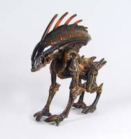 Kenner Wild Boar Alien (Aliens) Custom Action Figure
