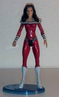 LIFE LASS Somi Gan Heroes of Lallor Member (DC Universe) Custom Action Figure