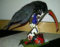 Quote the Raven (NFL) Custom Action Figure