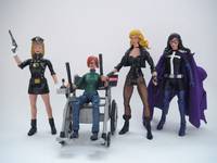 Barbara Gordon Oracle V. 5 (Batman) Custom Action Figure