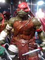 Tmnt (Teenage Mutant Ninja Turtles) Custom Action Figure