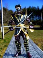 Colin King - Ninjak (Legendary Comic Book Heroes) Custom Action Figure