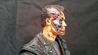 The Protector (Version 2) (Terminator) Custom Miniature / Figurine