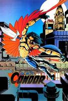 BLACK CONDOR II Ryan Kendall Freedom Fighters & JLA Member (DC Universe) Custom Action Figure
