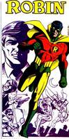 Earth-2 ROBIN 2.0 Richard Grayson Justice Society of America Member (DC Universe) Custom Action Figure
