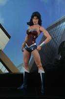 Wonder Woman (DC Universe) Custom Action Figure