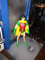 Jason Todd Robin (DC Universe) Custom Action Figure
