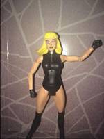 Black Canary (DC Universe) Custom Action Figure
