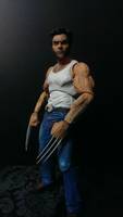 Cinematic Wolverine (Marvel Select) Custom Action Figure