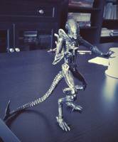 AVP Grid Alien (Alien vs Predator) Custom Action Figure
