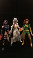 Phoenix (Marvel Legends) Custom Action Figure