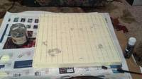 Dragon Ball Z World Tournament Stage (Dragonball Z) Custom Diorama / Playset