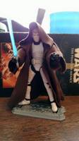 Jole Skywalker (Star Wars) Custom Action Figure