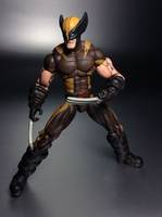 Wolverine (Astonishing Brown Concept) (Marvel Universe) Custom Action Figure
