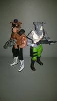 Bebop TMNT (Teenage Mutant Ninja Turtles) Custom Action Figure