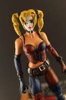 Harley Quinn (Batman) Custom Action Figure