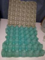 Alien Eggs (Aliens) Custom Diorama / Playset