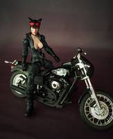 3.75" Catwoman (DC Universe) Custom Action Figure