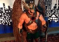Hawkman (DC Direct) Custom Action Figure