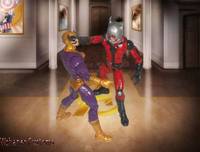 Ant Man (Scott Lang) (Marvel Legends) Custom Action Figure