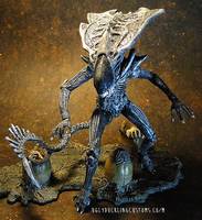 Praetorian (Aliens) Custom Action Figure