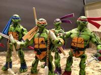 Ninja Turtles (Teenage Mutant Ninja Turtles) Custom Action Figure