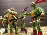 Ninja Turtles (Teenage Mutant Ninja Turtles) Custom Action Figure