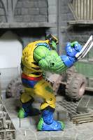 Wolvie-Hulk (Marvel Legends) Custom Action Figure