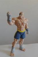 Sagat (Street Fighter) Custom Miniature / Figurine