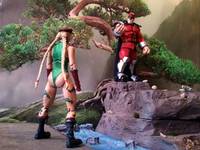 Street Fighter.....Cammy White (Street Fighter) Custom Action Figure