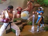 Street Fighter.....Chun Li (Street Fighter) Custom Action Figure