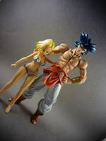 S.H Figuarts Broly (Dragonball Z) Custom Action Figure
