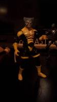 Black Lantern Wolverine Crossover (Marvel Universe) Custom Action Figure
