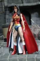 Lyda Carter Wonder Woman (DC Universe) Custom Action Figure
