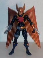 HAWKMAN Katar Hol (DC Universe) Custom Action Figure