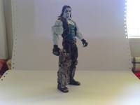 Lobo (DC Universe) Custom Action Figure