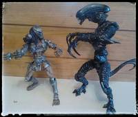 Predator Warrior (Alien vs Predator) Custom Action Figure