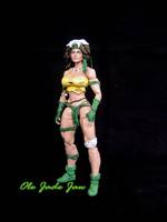 Savage Land Rogue (X-Men) Custom Action Figure