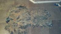 Ghillie Suit (GI Joe Costume) (G.I. Joe) Custom Other