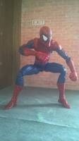 Mcfarlane Spiderman (Marvel Legends) Custom Action Figure