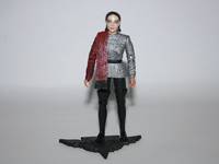 Female Romulan Commander (Star Trek) Custom Action Figure
