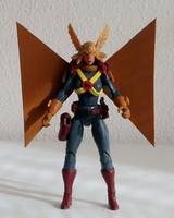 HAWKWOMAN Shayera Thal II Hawkworld (DC Universe) Custom Action Figure