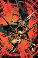HAWKWOMAN Shayera Thal II Hawkworld (DC Universe) Custom Action Figure