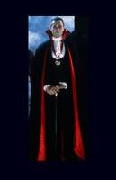 Monster squad Dracula (Horror) Custom Action Figure