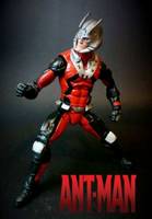 Ant-man Marvel Now (Marvel Legends) Custom Action Figure