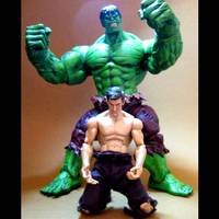 Bruce Banner (Hulk No More) (Marvel Select) Custom Action Figure