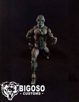 Zoom  (CW) (DC Universe) Custom Action Figure